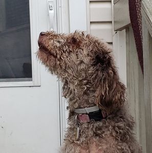 Meet your Posher, Kraig